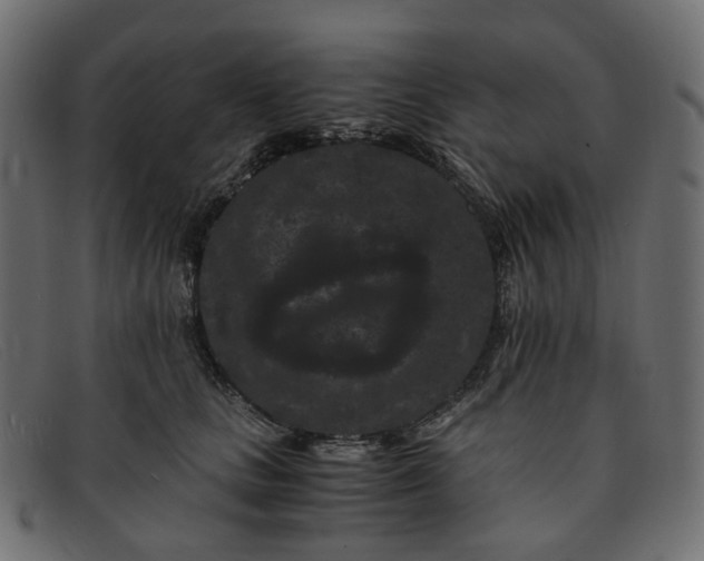 X0000091880661200709191157