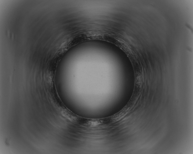 X0000091880662200709191157