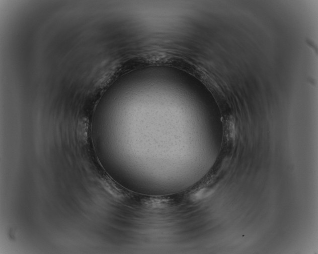 X0000091880664200709191157