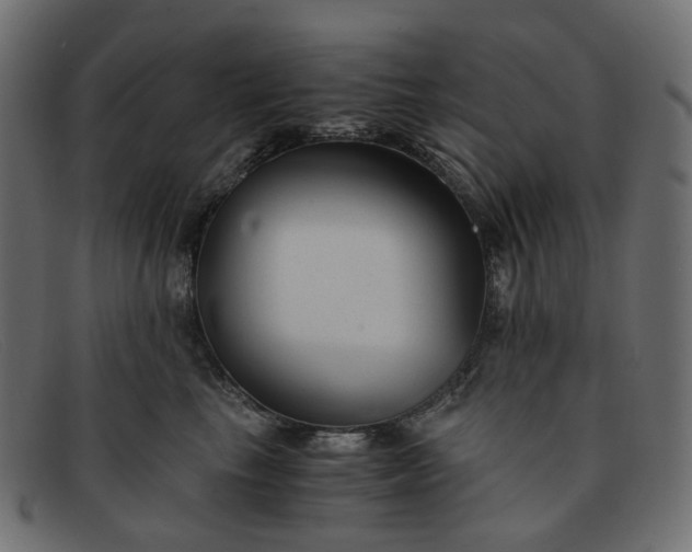 X0000091880665200709191157