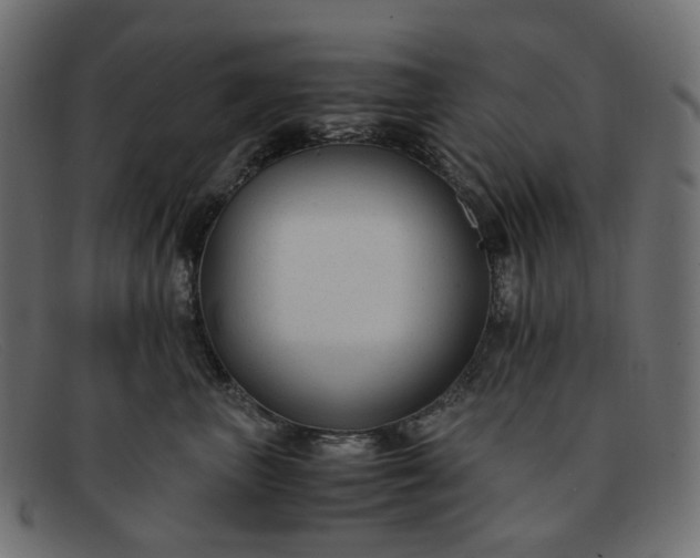 X0000091880667200709191157