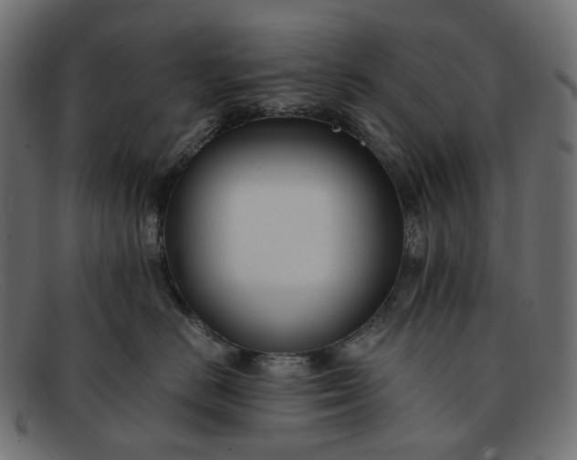 X0000091880670200709191157