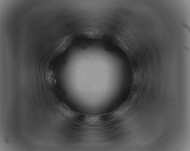 X0000091880671200709191157