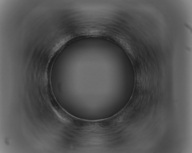 X0000091880674200709191157