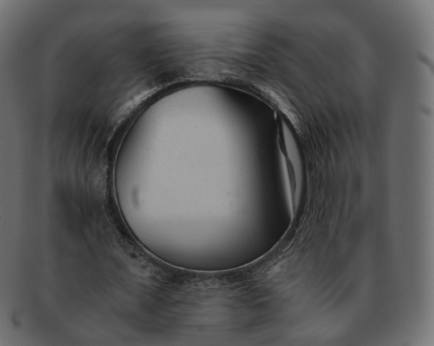 X0000091880675200709191157