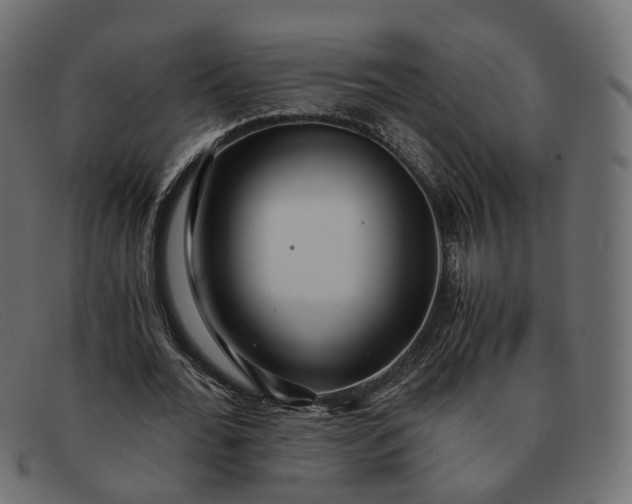 X0000091880676200709191157