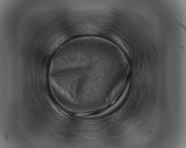 X0000091880677200709191157