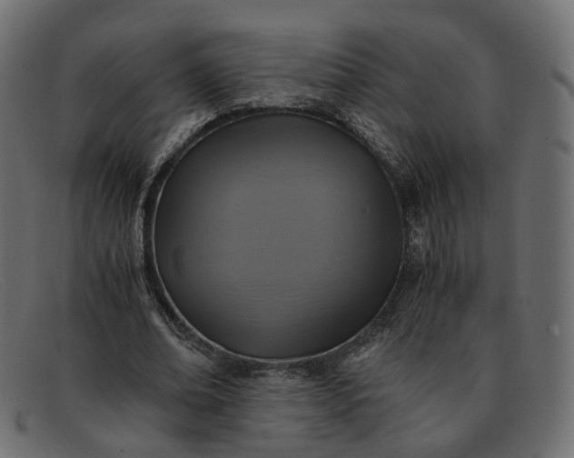 X0000091880678200709191157