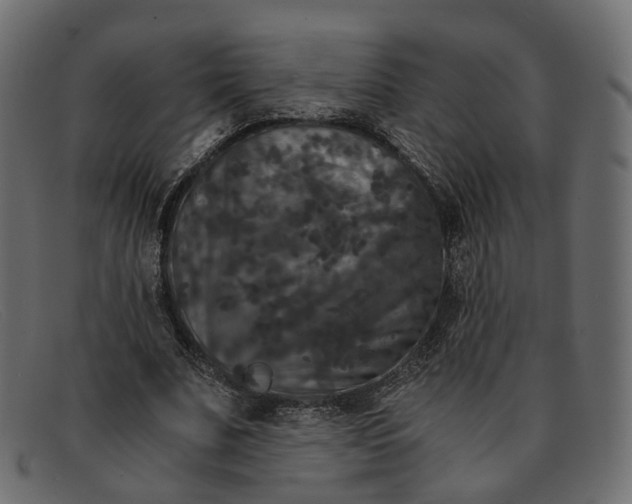 X0000091880679200709191157