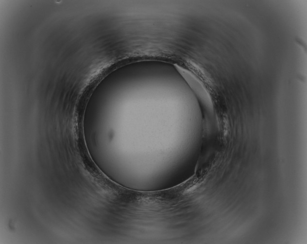 X0000091880680200709191157