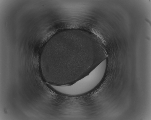 X0000091880681200709191157