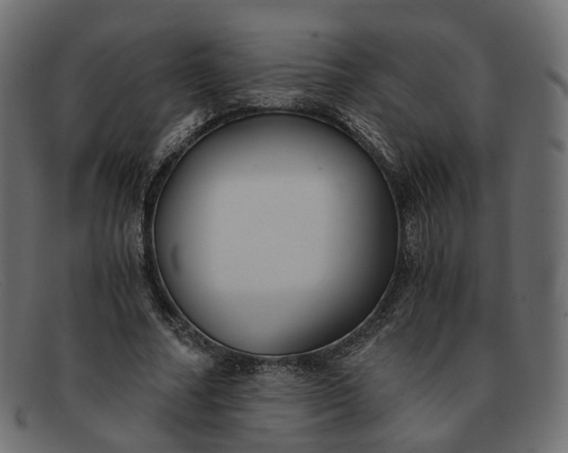 X0000091880682200709191157