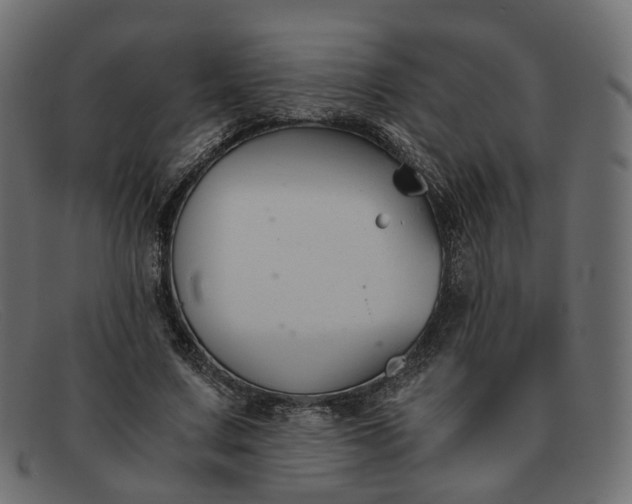 X0000091880683200709191157