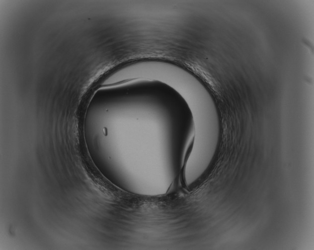 X0000091880684200709191157