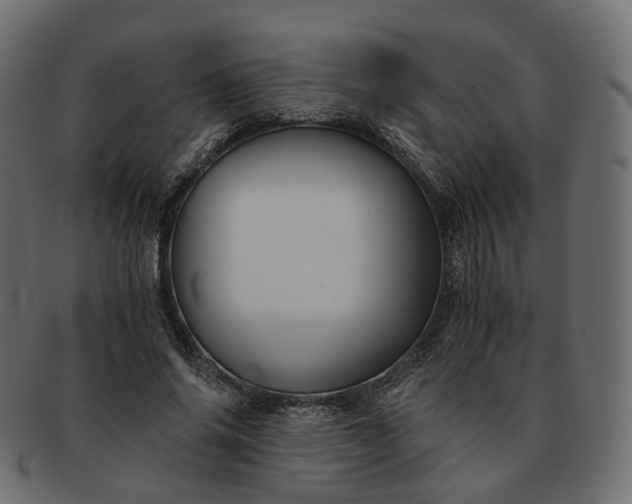 X0000091880686200709191157