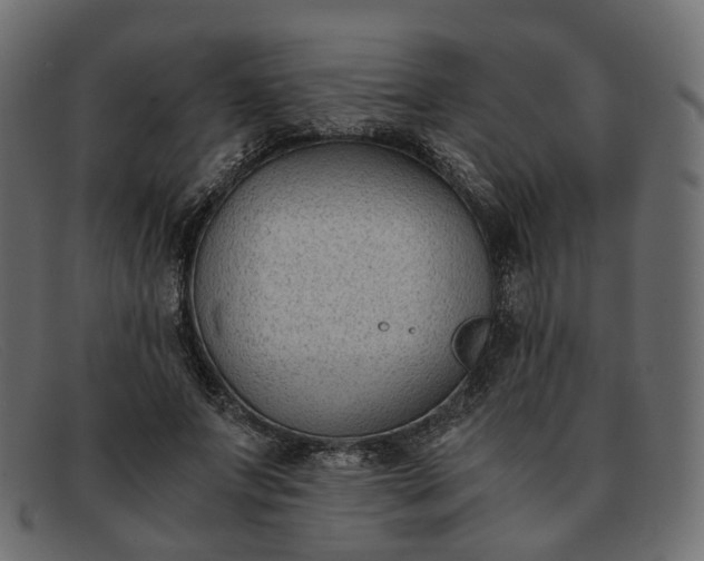 X0000091880687200709191157