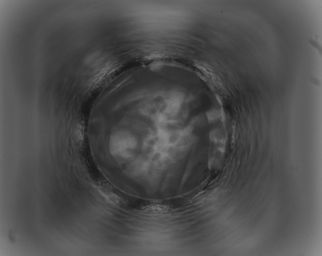 X0000091880691200709191157