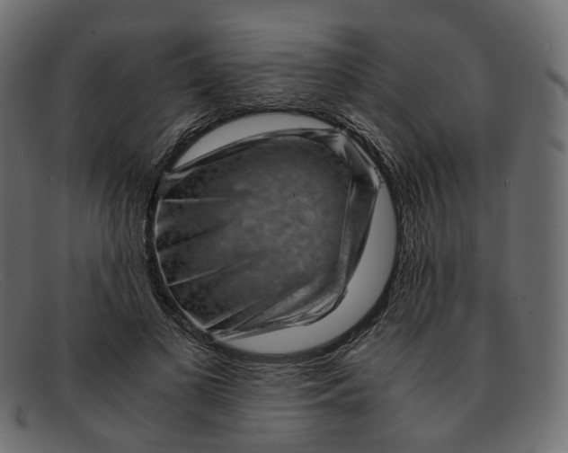 X0000091880693200709191157