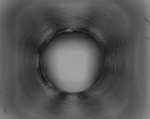 X0000091880694200709191157