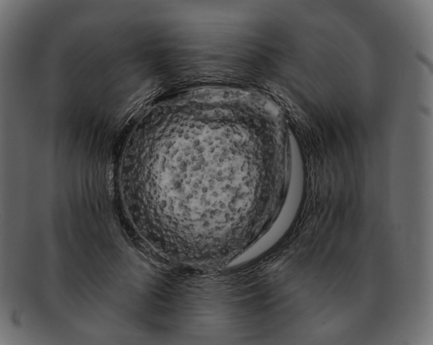 X0000091880696200709191157