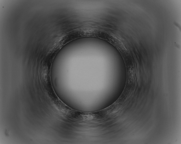 X0000091880698200709191157