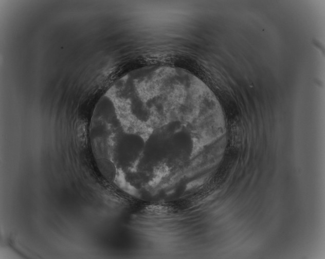 X0000091880699200709191157