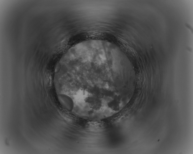 X0000091880703200709191156