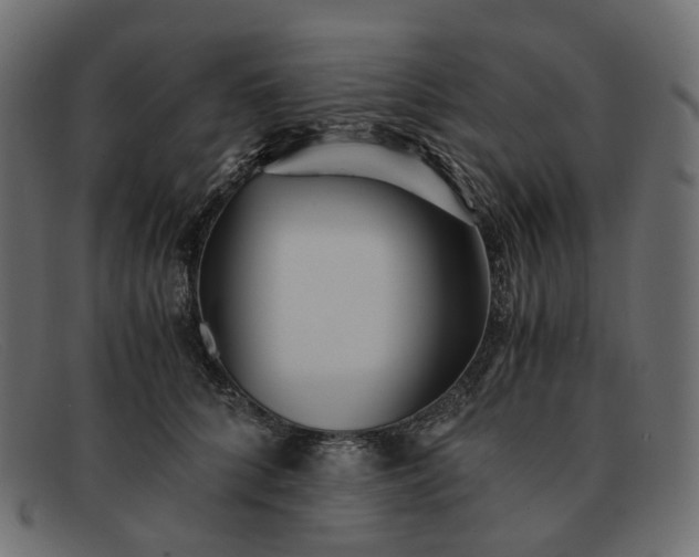 X0000091880704200709191156