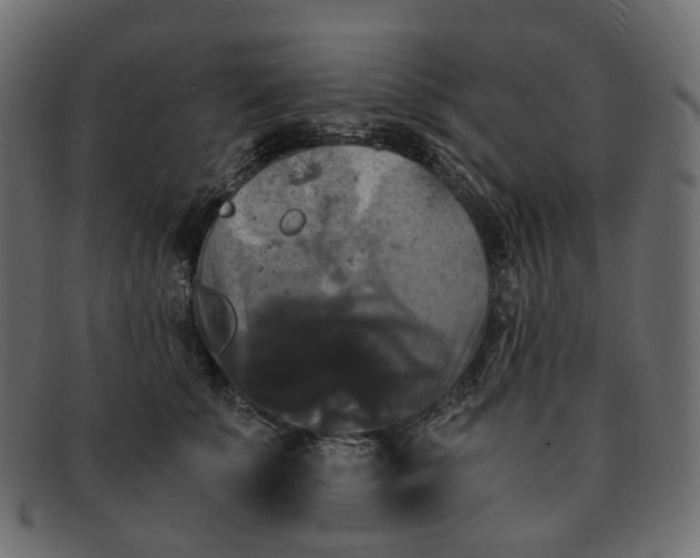 X0000091880707200709191156