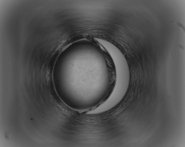 X0000091880708200709191156