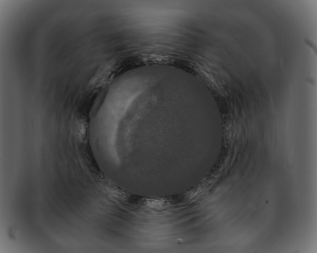 X0000091880709200709191156