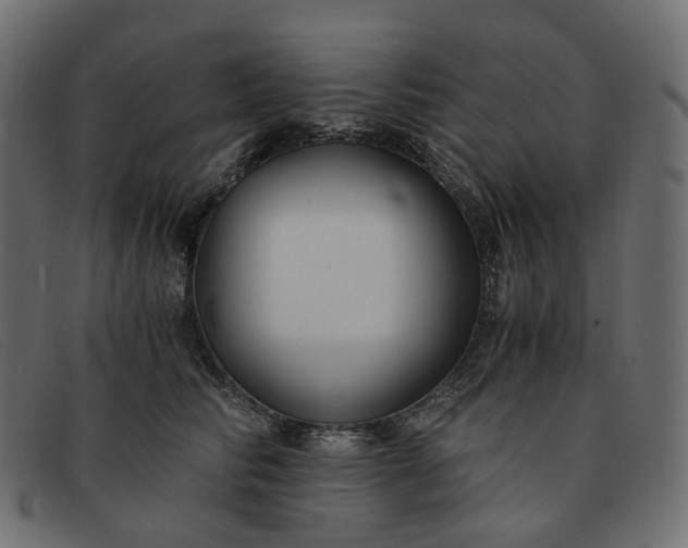 X0000091880710200709191156