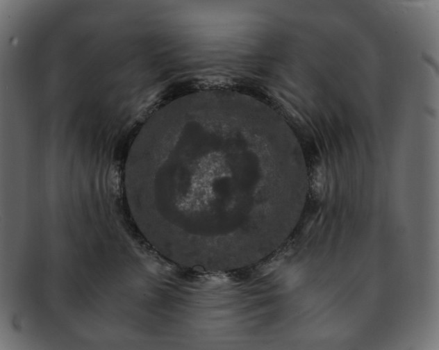 X0000091880715200709191156