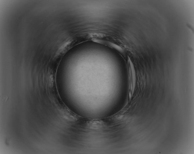 X0000091880716200709191156