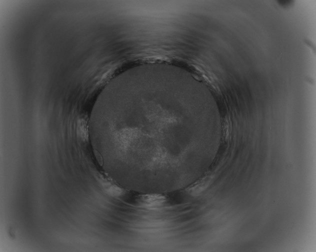 X0000091880719200709191156