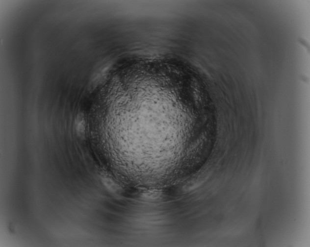 X0000091880720200709191156