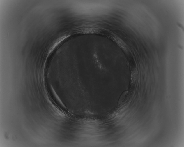 X0000091880722200709191156