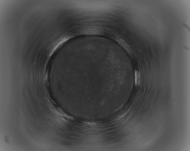 X0000091880723200709191156