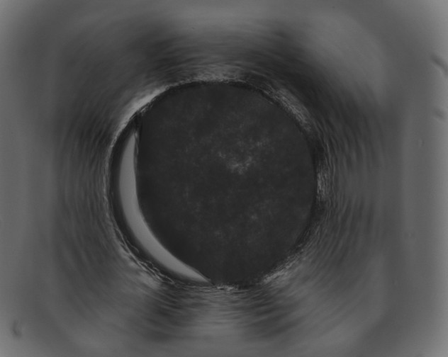 X0000091880724200709191156