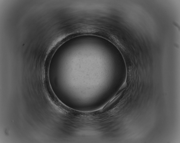 X0000091880726200709191156