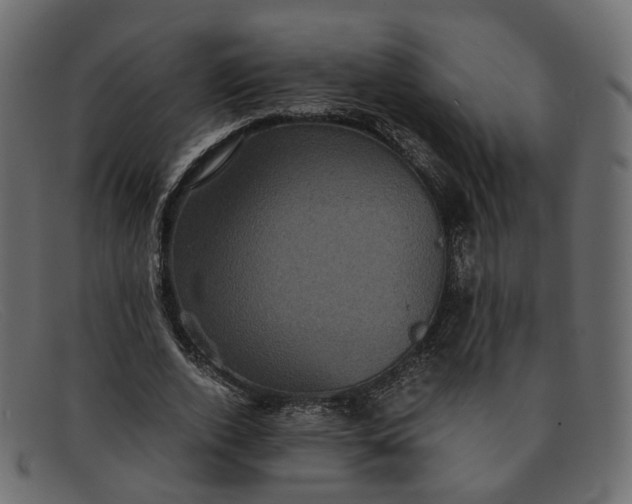 X0000091880728200709191156