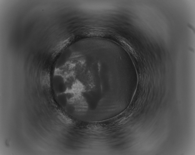 X0000091880729200709191156