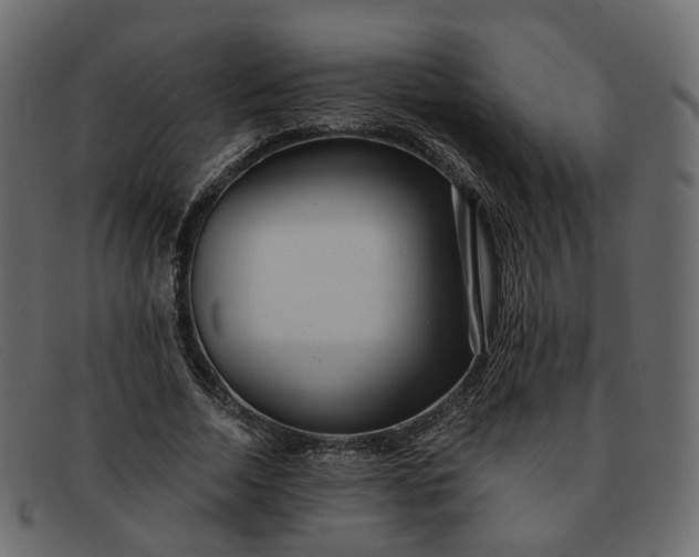 X0000091880730200709191156