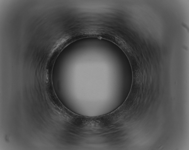 X0000091880731200709191156