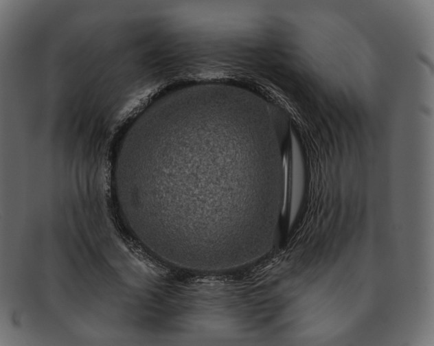 X0000091880732200709191156