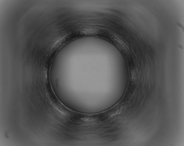 X0000091880733200709191156