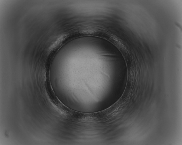 X0000091880734200709191156