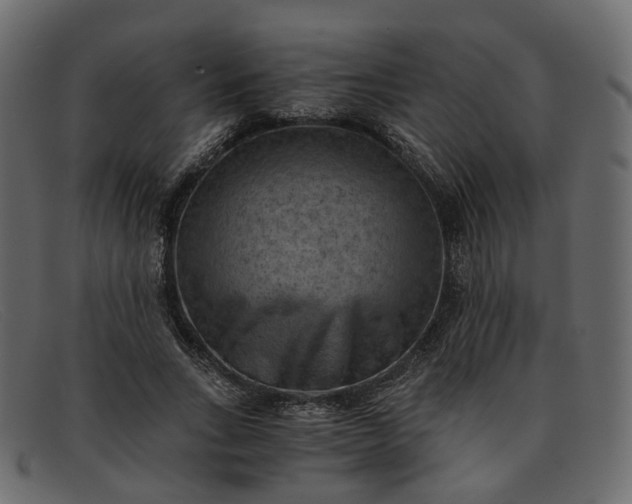 X0000091880735200709191156