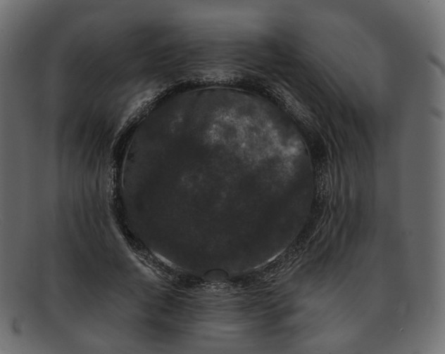 X0000091880736200709191156