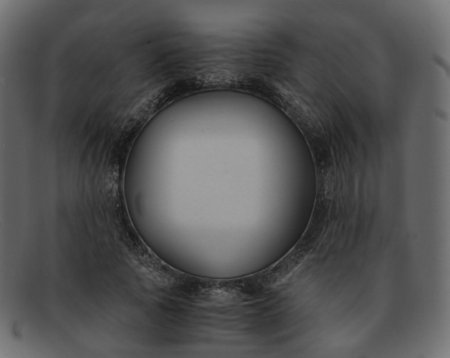 X0000091880737200709191156